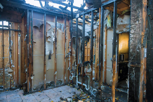 Professional Smoke Damage Removal technician working in Morton, PA