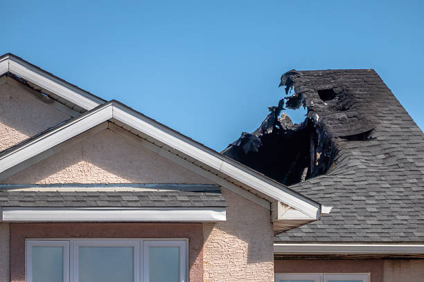 Top rated local Smoke Damage Removal specialists in Morton, PA